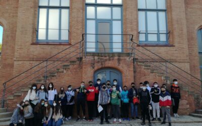 Estructures del nostre entorn